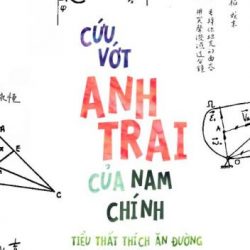 cứu vớt anh trai nam chính