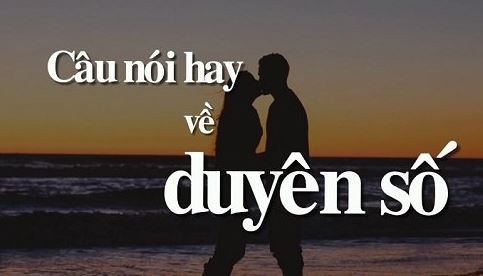 chúng ta vốn vô duyên nhưng may anh có tiền